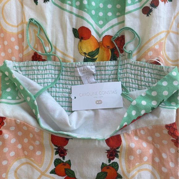 Caroline Constas Fruit Print Maxi Dress NWT | Summer Polka Dot Sundress- SIZE S - Picture 3 of 4
